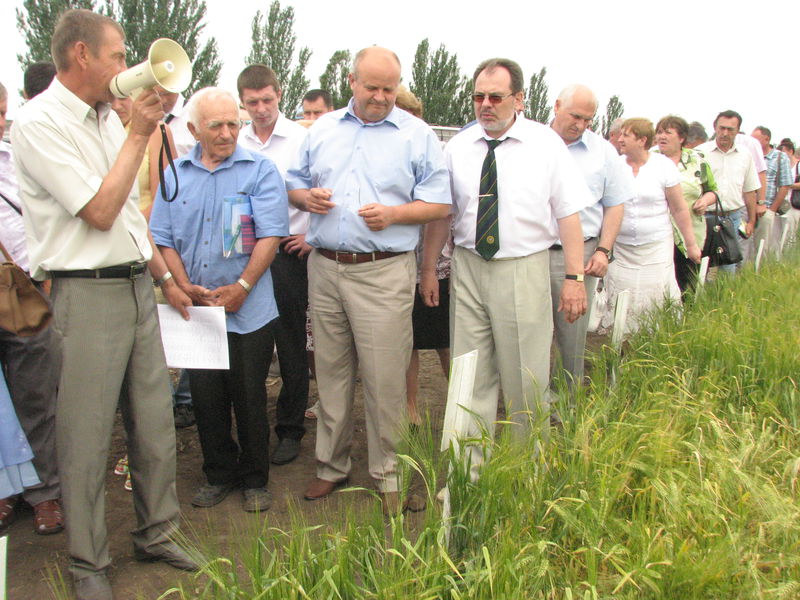 На старті збиральної кампанії аграрії та науковці провели День поля