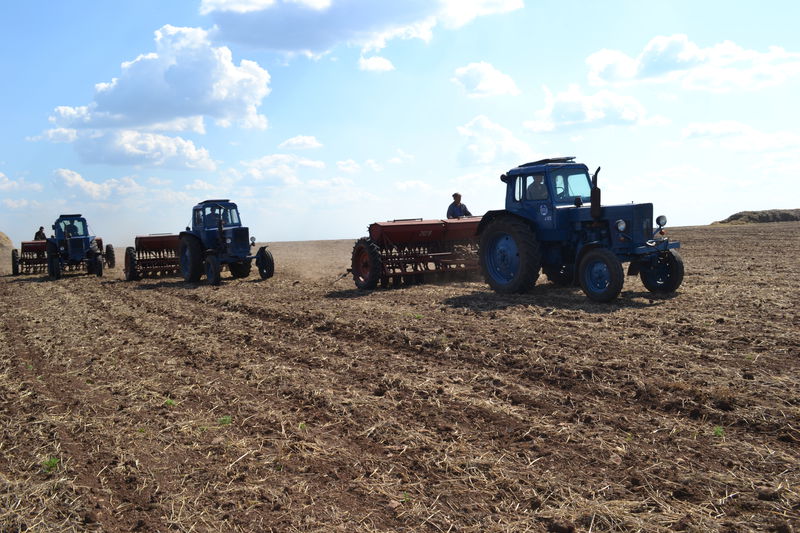 Завдяки дощам покращилися показники посівної кампанії