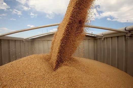 Запорізькі підприємства поставили до державного інтервенційного фонду понад  27 тис. тонн продовольчого зерна