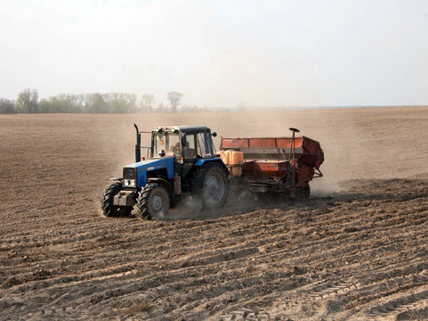 Цьогорічна посівна кампанія – на стадії завершення