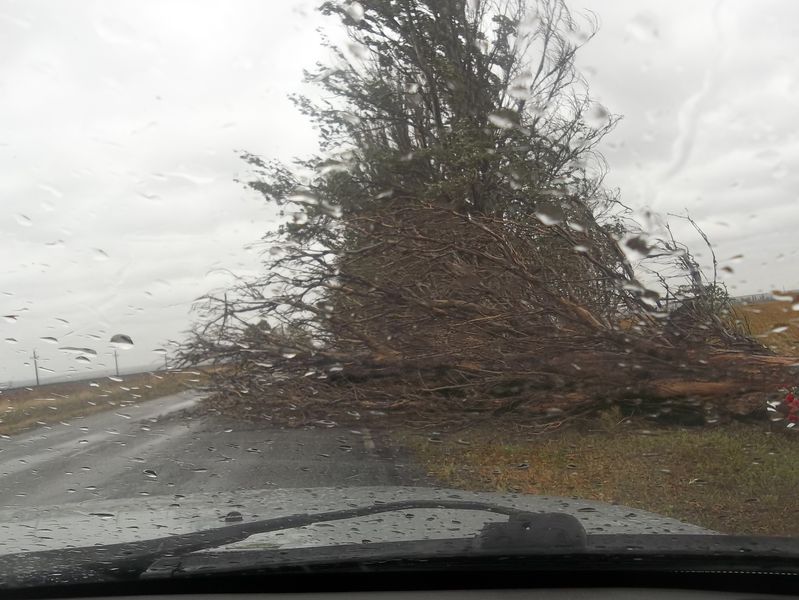 Дорожники закликають водіїв терміново перевести свої автівки на зимовий режим експлуатації