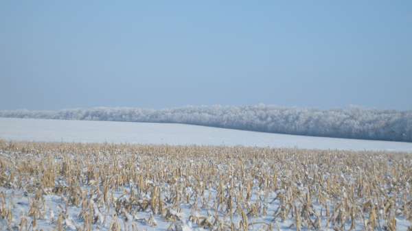 Сніг поповнить запаси продуктивної вологи в ґрунті, що сприятливо позначиться на стані майбутнього врожаю 