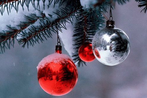 Запоріжцям пропонують новорічне та різдвяне святкування на всі смаки