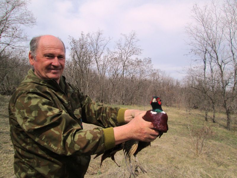 Користувачі мисливських угідь відтворюють мисливську фауну