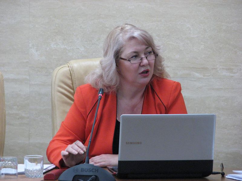 Запорізька громадськість пропонує включити до пріоритетів Стратегії - 2020 розвиток третього сектору