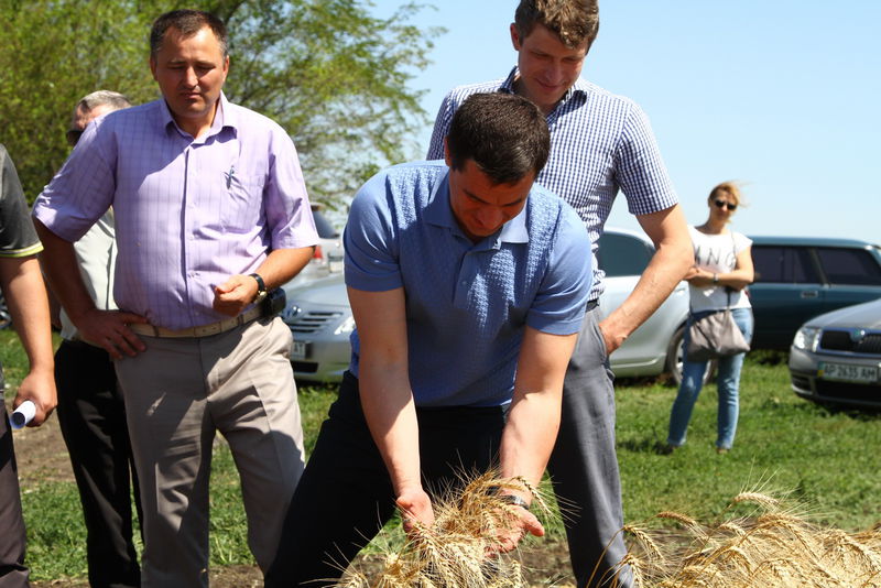 В Запорізькій області зібрано перший мільйон тонн зерна