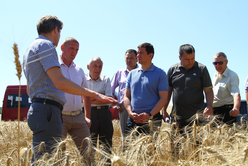 В Запорізькій області зібрано перший мільйон тонн зерна