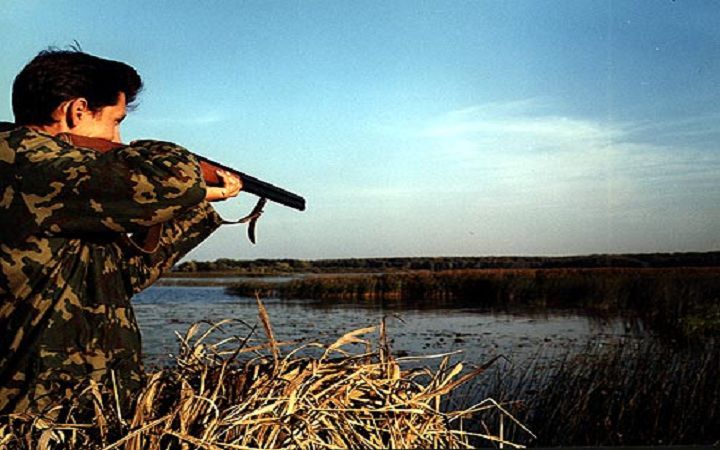 Рада оборони та мисливці шукають компроміс щодо обмеження полювання 