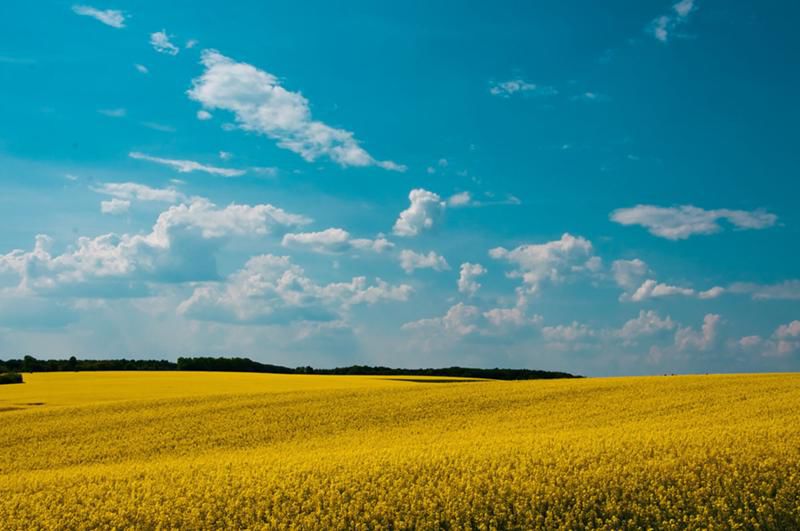 «Нехай би остаточне рішення по об’єднанню громад приймав Уряд, а  місцеві вибори  в таких громадах призначала ЦВК», - міський голова з Тернопільщини