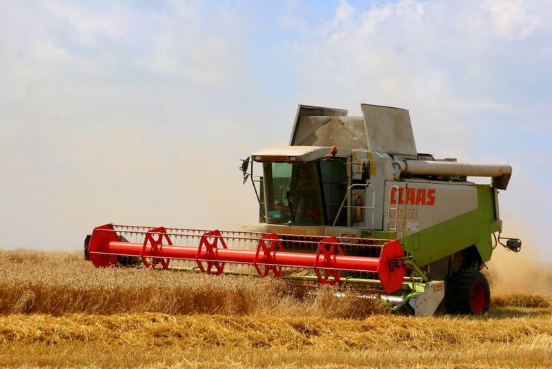 Аграрії збирають пізні зернові і закладають урожай наступного року