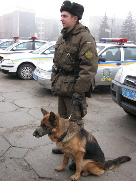 Спокій та безпеку запоріжців разом охороняють гвардійці та правоохоронці