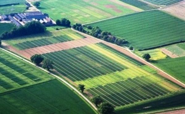 Учасники АТО отримали дозволи на 804 земельні ділянки