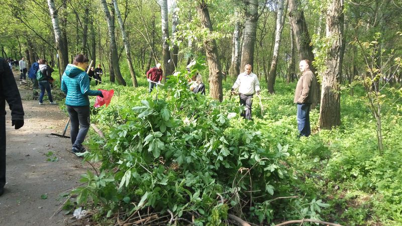 На суботнику оновлено парк Перемоги у Запоріжжі