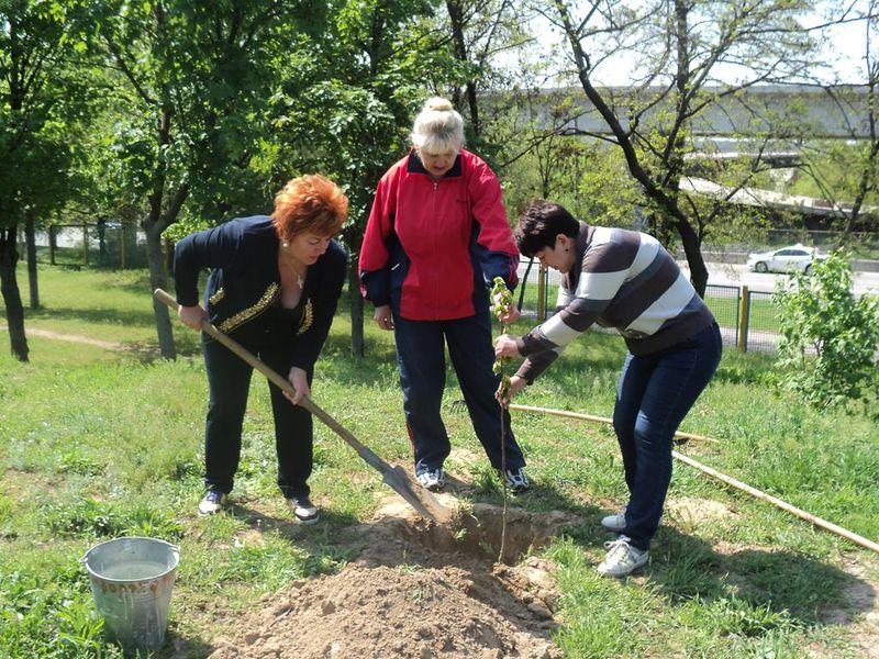 «Орієнтир» збагатив Запоріжжя зеленими насадженнями