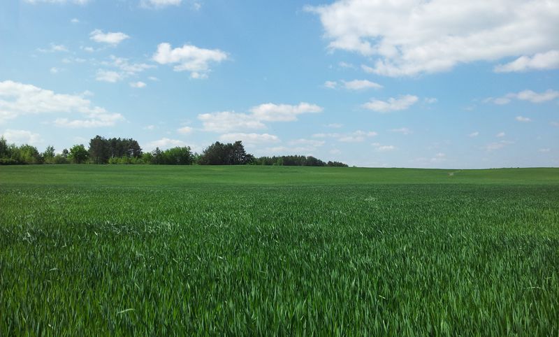 Аграрії готуються до захисту майбутнього врожаю від шкідників