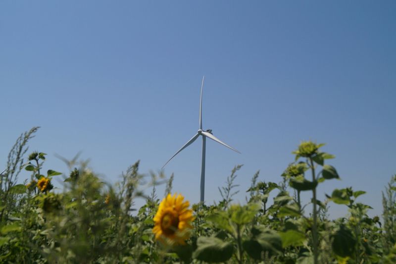 В  області вперше зібралася Рада ринку електроенергії України