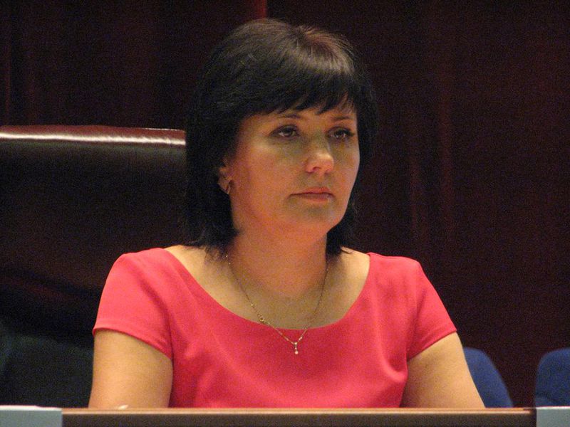 Провідний український експерт підтримує Запорізьку область у проведенні децентралізації