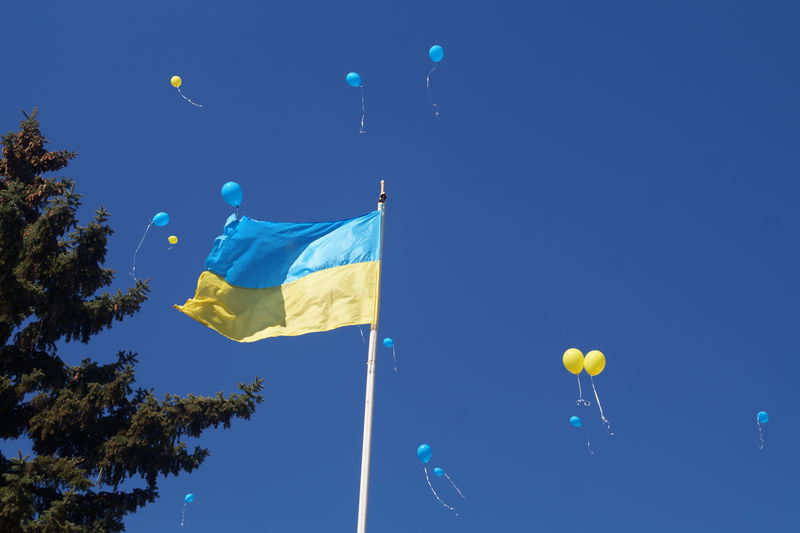 Одинадцять шкіл запорізької області прийняли особливих першокласників в рамках проекту «Розвиток інклюзивного освітнього середовища»