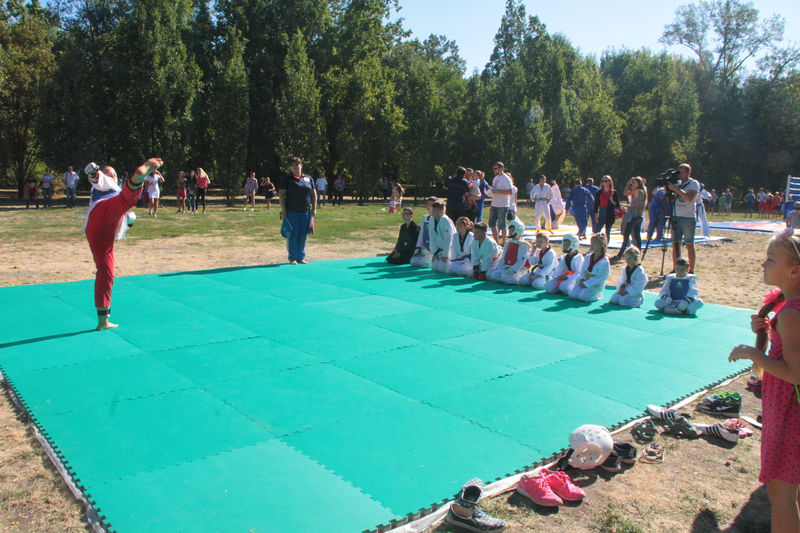 Запоріжці відзначили День фізичної культури та спорту  масовим спортивним святом