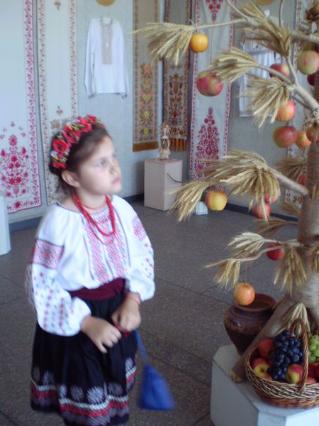 Про ювілейну виставку обласного осередку Національної спілки майстрів народного мистецтва України