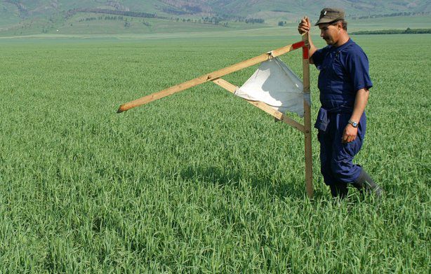 Від продажу земель несільськогосподарського призначення місцеві бюджети отримали майже 6 мільйонів гривень