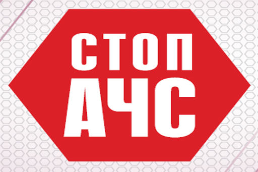 В області не допущено розповсюдження вірусу африканської чуми свиней