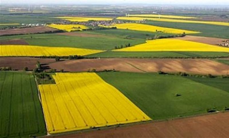 Влада не залишила без уваги ситуацію в Новомиколаївському районі