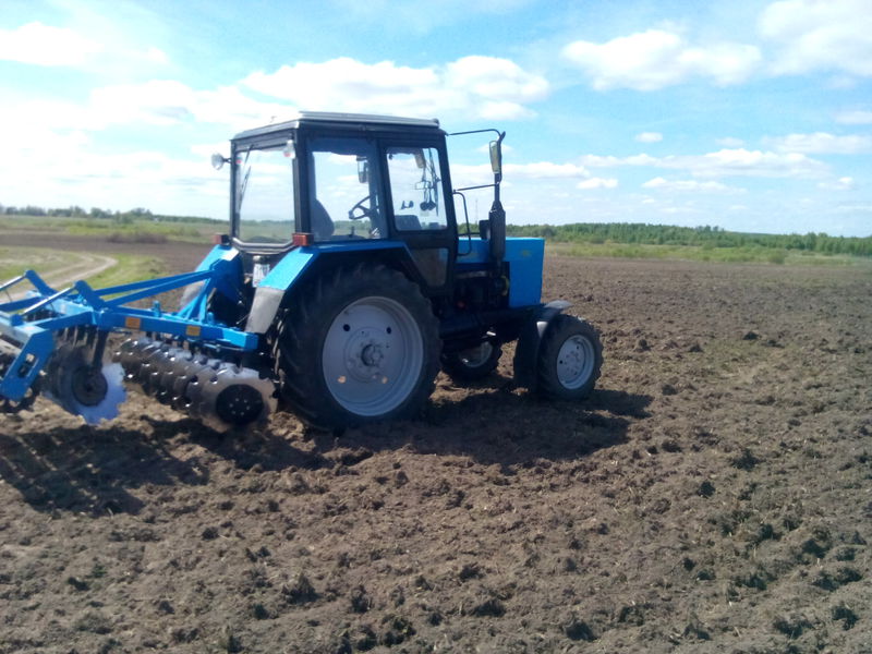 Запорізькі аграрії завершили збір зернових