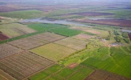 Родинам загиблих героїв Небесної сотні виділено понад 37 га землі