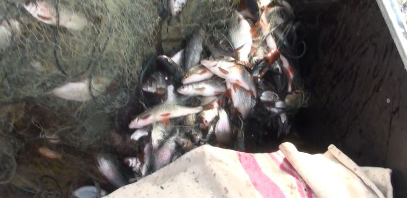 Запорізькі екологи борються з браконьєрами