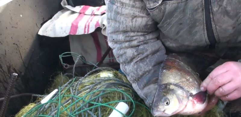 Запорізькі екологи борються з браконьєрами