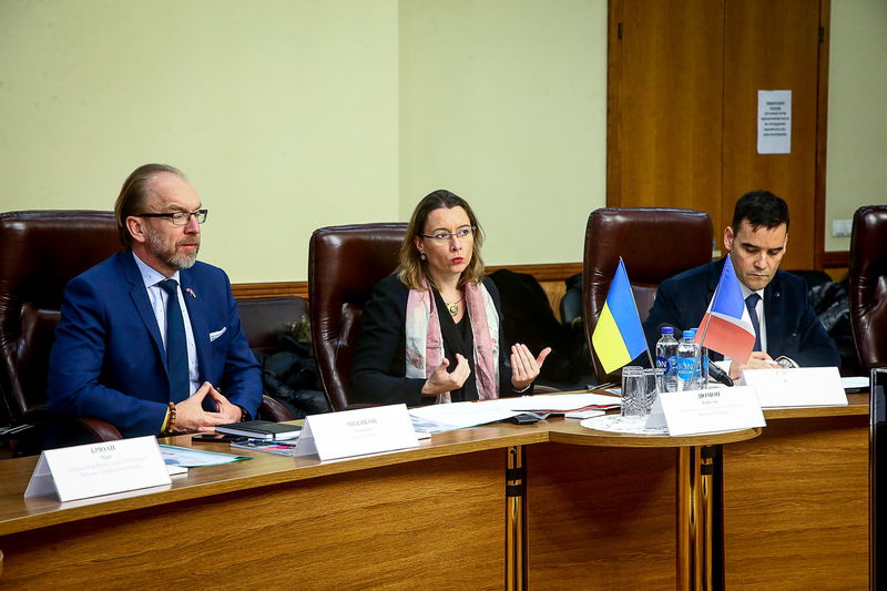 Французький бізнес має намір реалізувати в області інвестиційні проекти  