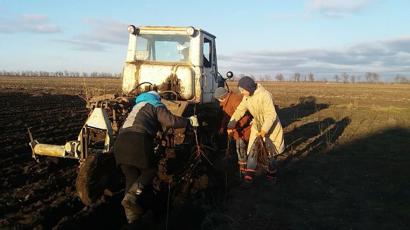 Костянтин Бриль: «Збереження нашої землі залежить від цілісності лісосмуг»