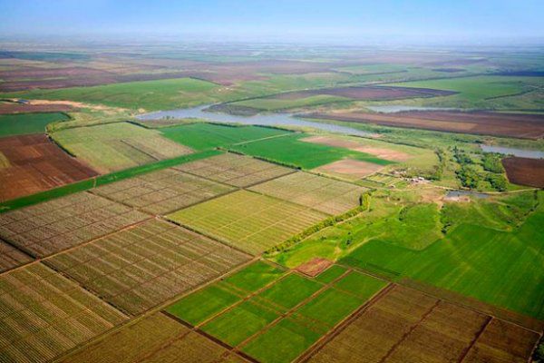 Власники земельних паїв отримали понад 800 млн. грн. орендної плати