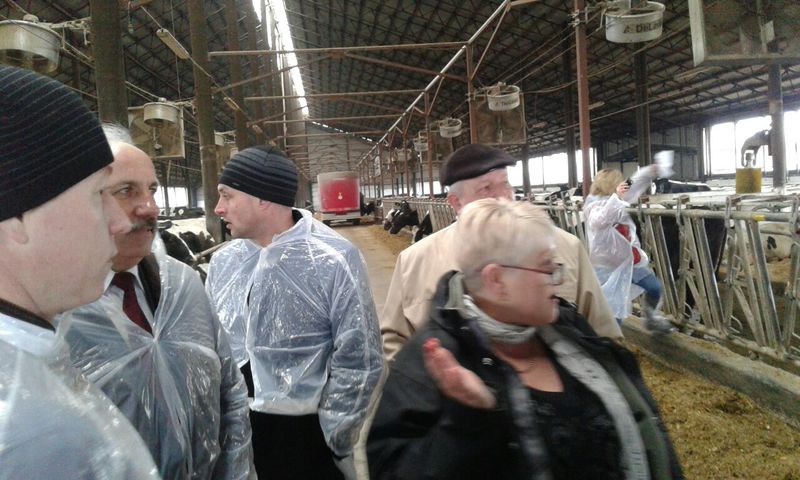 Племзавод «Степний» ділиться досвідом свого успіху з тваринниками з інших регіонів