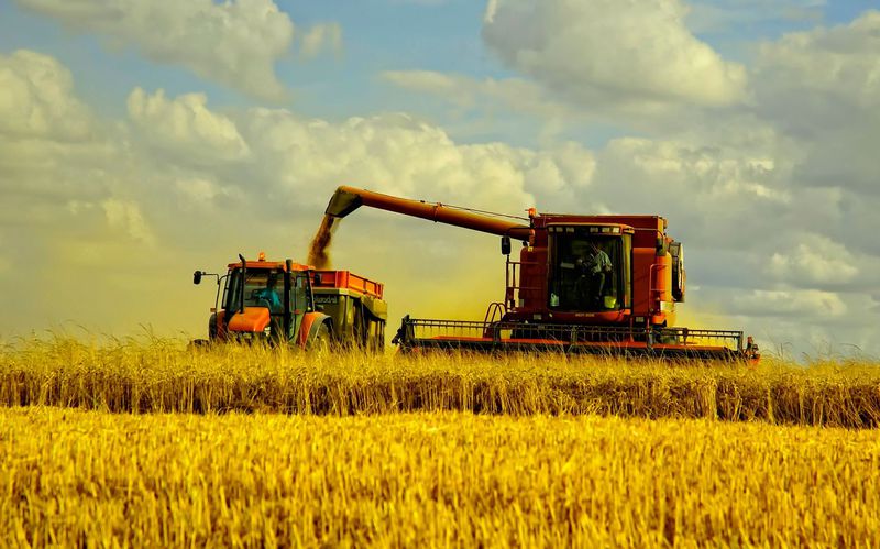 Запорізькі аграрії планують зібрати  2,4 мільйона тонн зерна нового врожаю