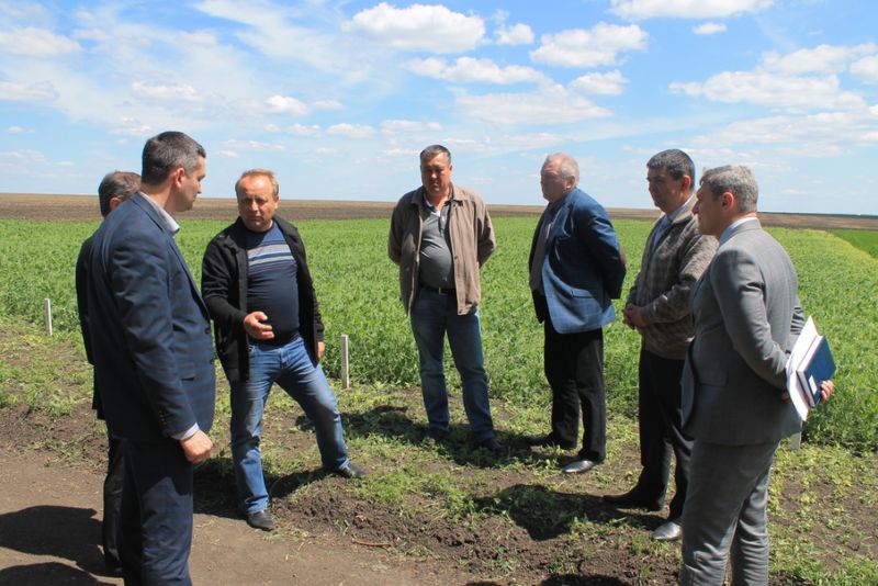 Досвід розівських аграріїв переймають колеги з Донбасу   