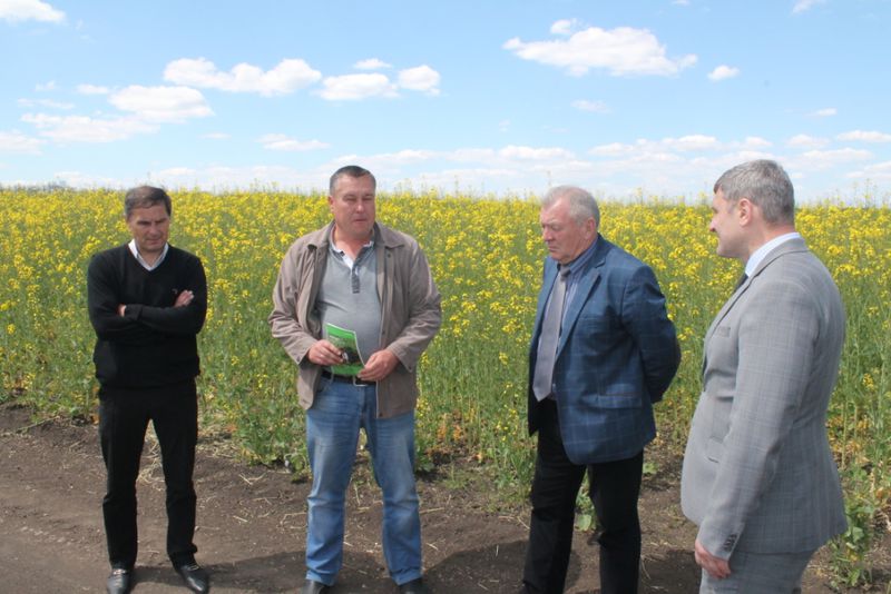 Досвід розівських аграріїв переймають колеги з Донбасу   