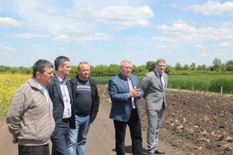 Досвід розівських аграріїв переймають колеги з Донбасу   
