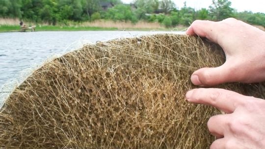 На водоймах області невдовзі буде знято заборону на вилов риби