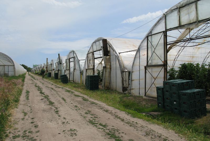 Запорізькі плодоовочівники створюють логістичні центри за міжнародної підтримки