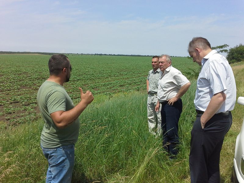 Робоча група  «Врожай-2017» продовжує виявляти порушення у використанні земель