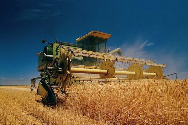 Аграрії вже зібрали 140 тисяч тонн зерна нового врожаю
