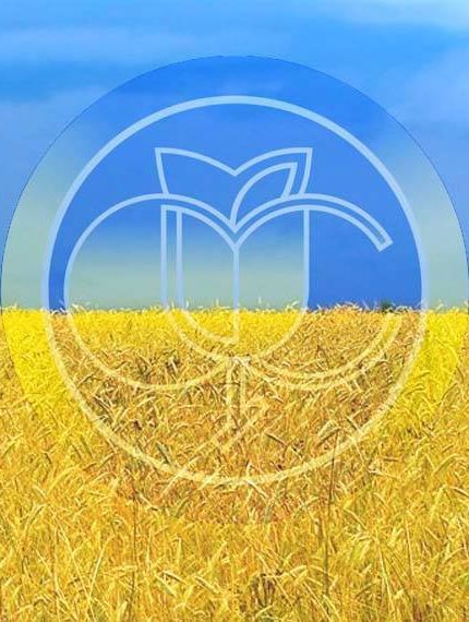 З 1 серпня в області запрацюють реорганізовані відділення Фонду соціального страхування