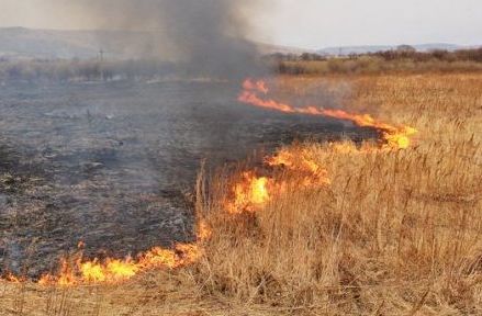 Рятувальники нагадують про пожежну небезпеку на полях 