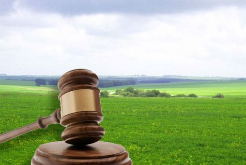 Громадян та фермерів запрошують на земельні торги