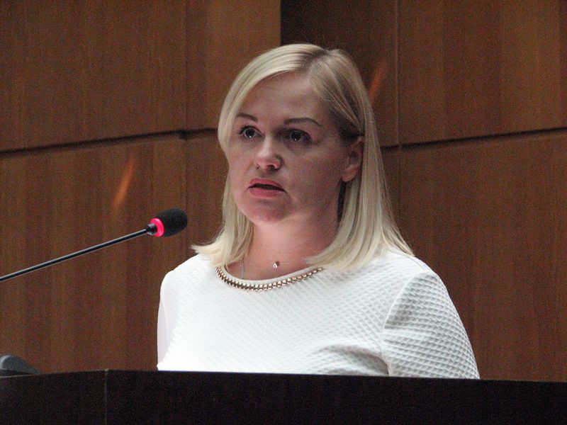 Костянтин Бриль: «Аграрії мають обробляти землю до проведення земельного аукціону»