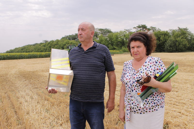 У трьох районах області аграрії вже завершили збір ранніх зернових