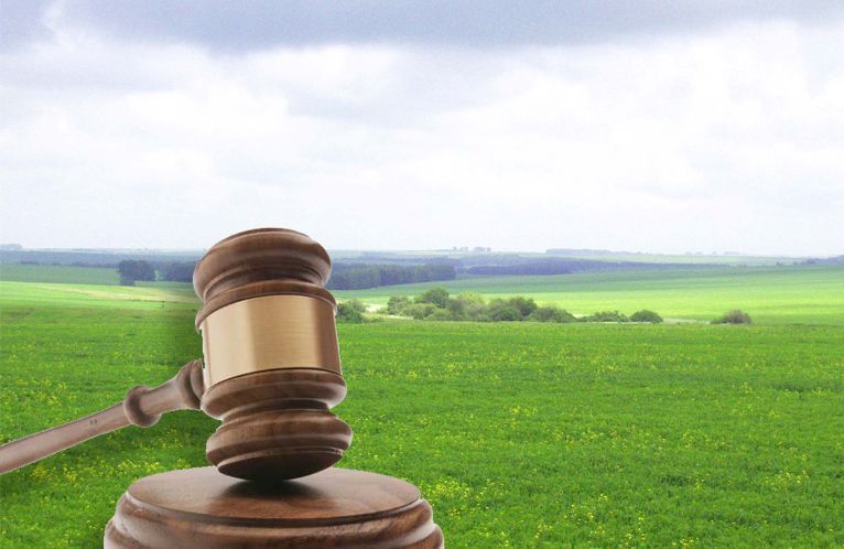  Результат земельного аукціону:  ціна оренди одного гектара  сільгоспземлі майже втричі перевищила її середній розмір 