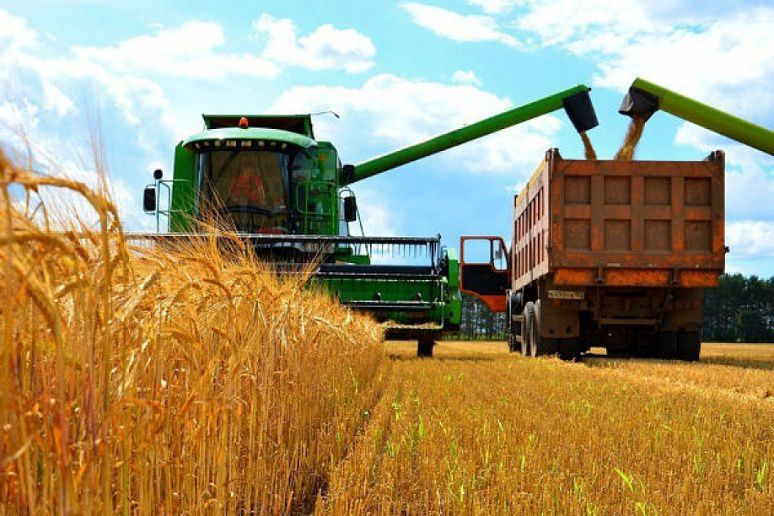 Запорізькі аграрії завершили збирання ранніх зернових культур